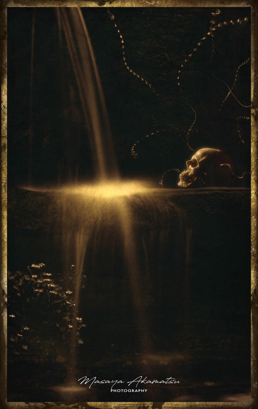 VANITAS－ヴァニタス