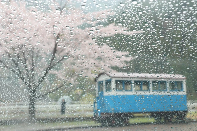 雨情