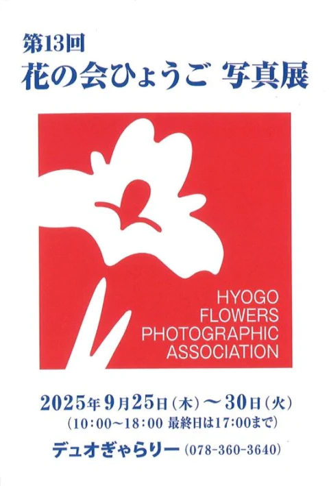 秦森康屯 花と少女 (展覧会カタログに掲載) 第74回 小田原城